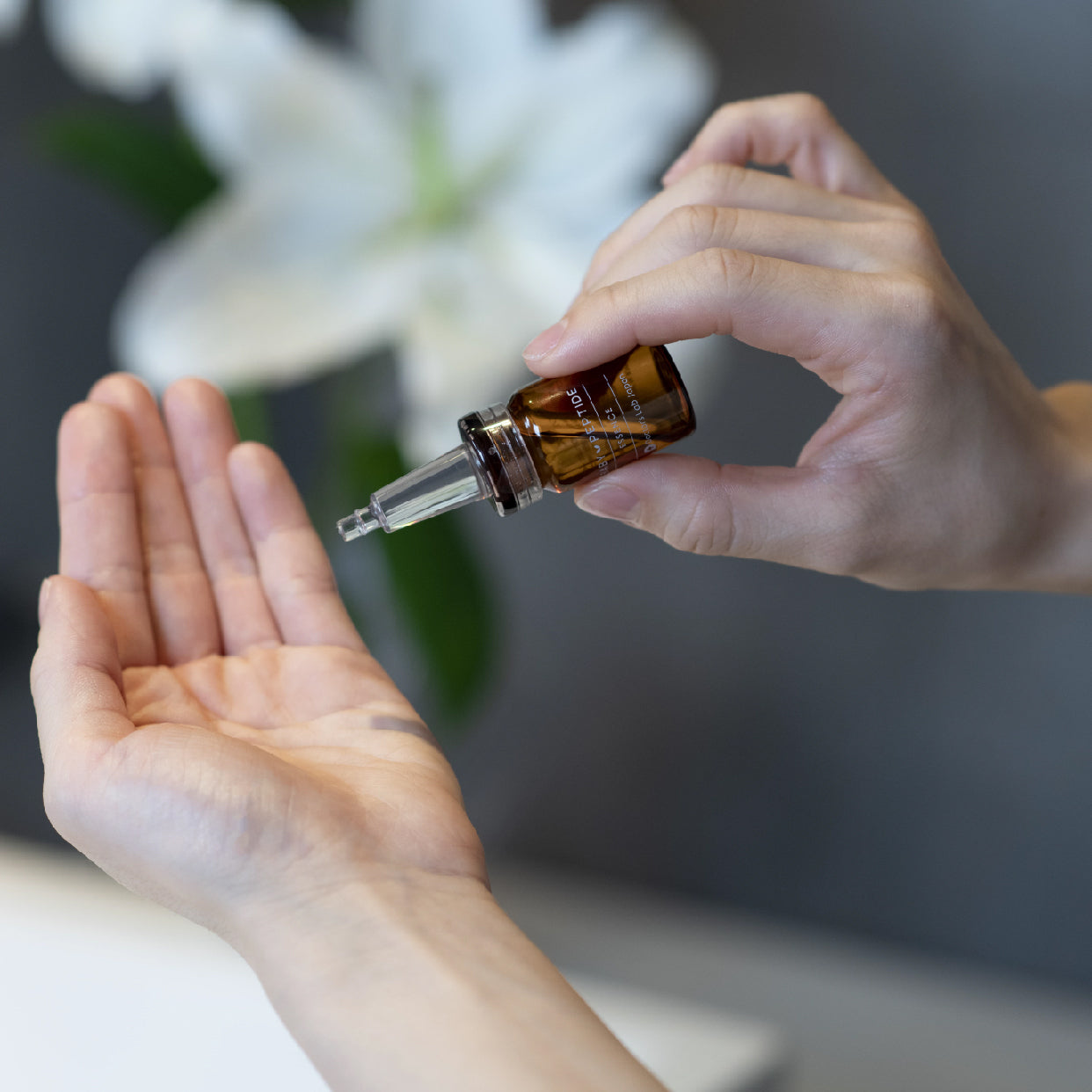 BABY PEPTIDEエッセンス・フリーズドライVer.